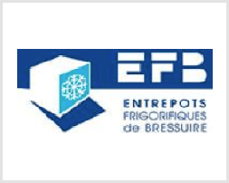 EFB.png